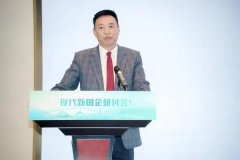 操纵“澳门+的地位劣势